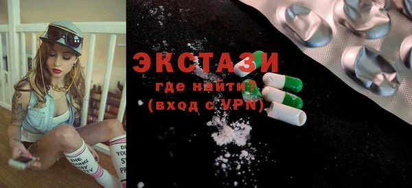 гидра Каменка