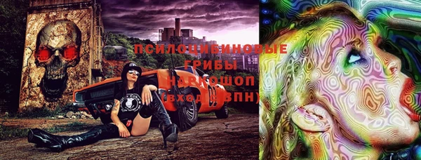 дживик Каменногорск