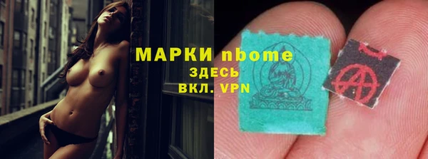 гидра Каменка