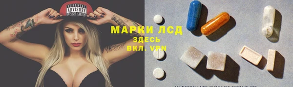 прущие грибы Иннополис