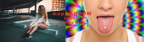 дживик Каменногорск
