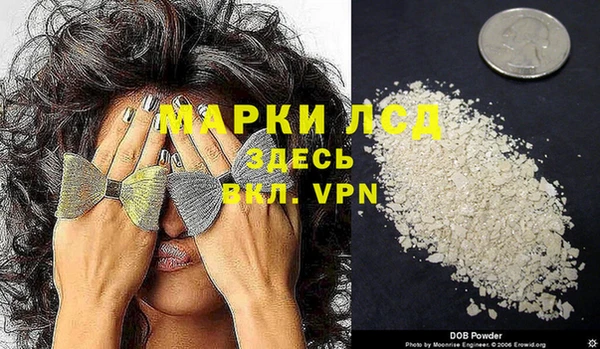 ГАЛЛЮЦИНОГЕННЫЕ ГРИБЫ Инта