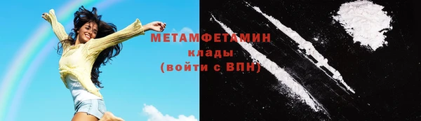 ГАЛЛЮЦИНОГЕННЫЕ ГРИБЫ Инта