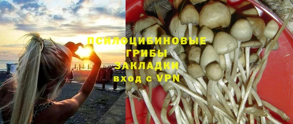 прущие грибы Иннополис