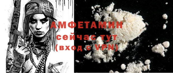 гидра Каменка
