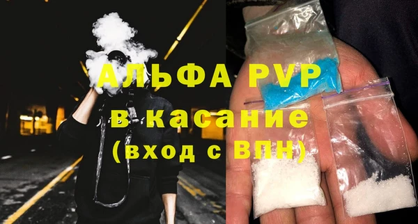 прущие грибы Иннополис