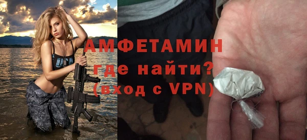 гидра Каменка