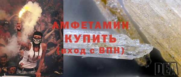 гидра Каменка