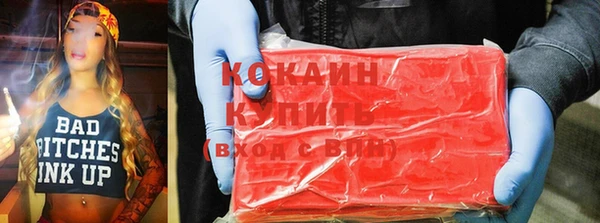 гидра Каменка