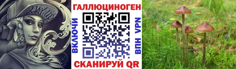 Купить закладки  Кыштым  Галлюциногенные грибы MAGIC MUSHROOMS 