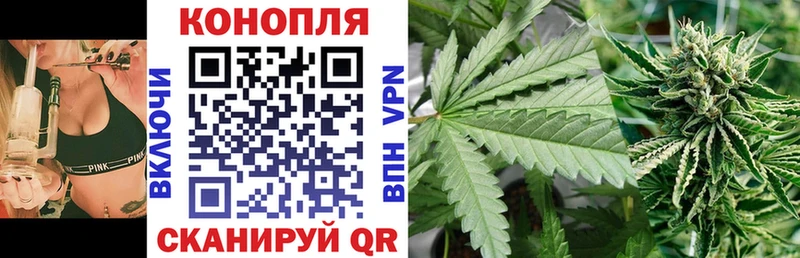 Купить  Кыштым  Конопля гибрид 